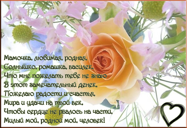 Стих с днем рождения мамы моего любимого Стих с днем рождения мамы моего любимого