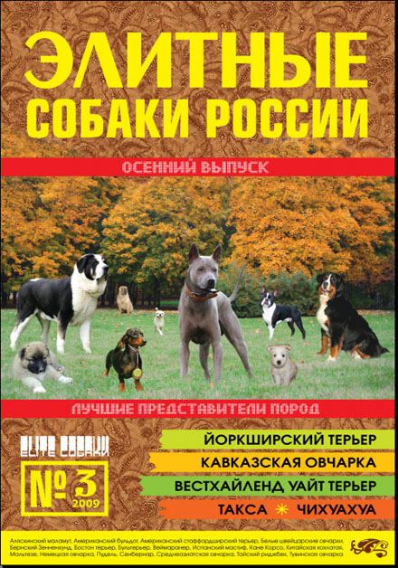 Скачать Животные Элитные собаки России 3 (2009) бесплатно.