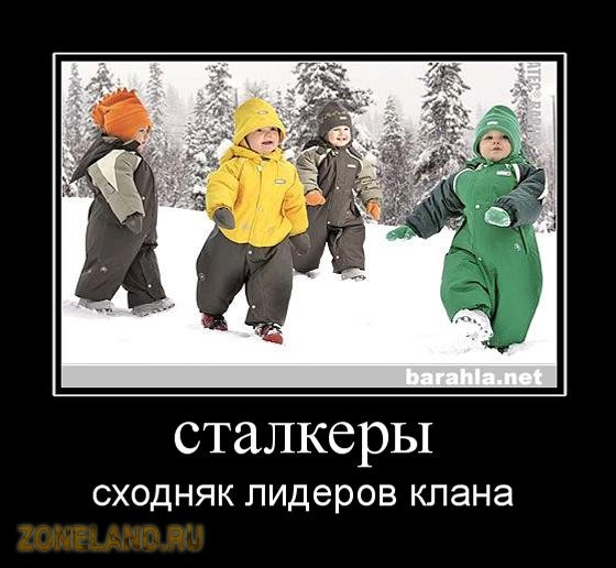 Силовые тренажеры kettler
