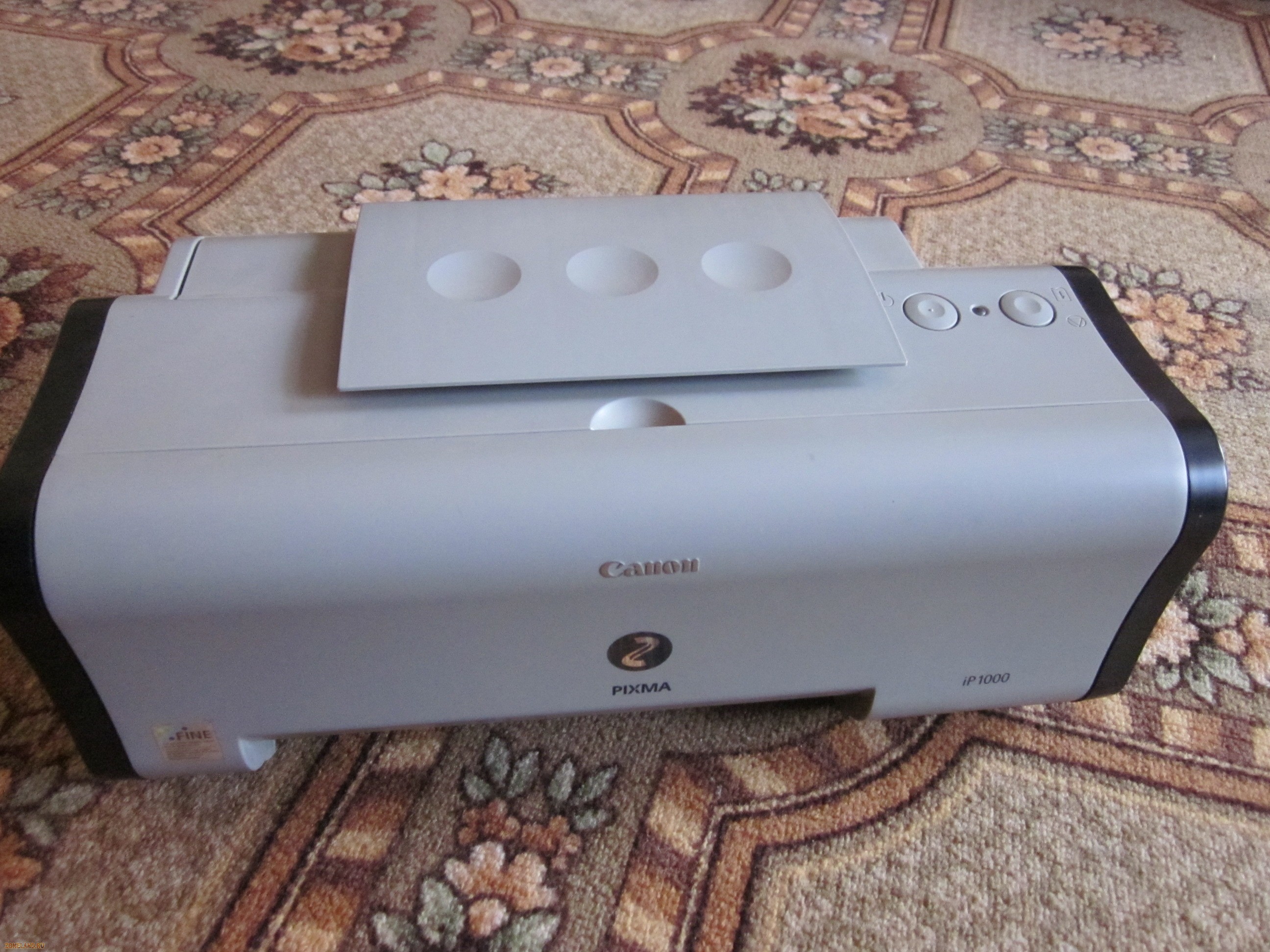 Canon Pixma 1000 Driver Download Windows Xp - pollutioncurrent